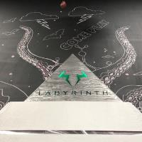 Labyrinth Reality Games image 6